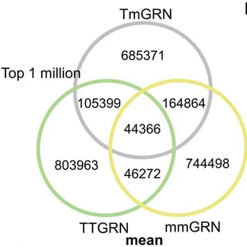 Open access visualization of Venn Diagram, mmGRNs, TmGRNs, TTGRNs, Gene Regulatory Networks