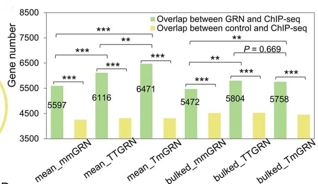 Open access visualization of Bar Plot, GRNs, ChIP-seq, TF-target pairs, mmGRN