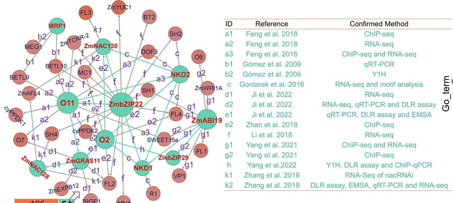 Open access visualization of Network, Pathway, Gene Regulatory Networks, Kernel Development, Genes