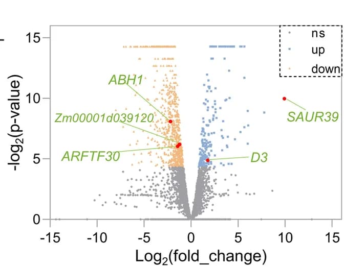 Open access visualization of Volcano Plot, Differential expression analysis, RNA-seq, Mutant, Wildtype