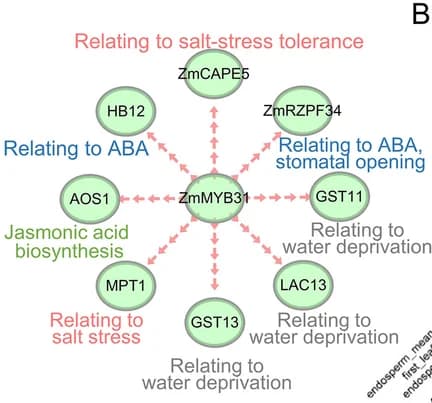Open access visualization of Network, Pathway, Gene Expression, ABA, Drought Response