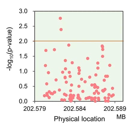 Open access visualization of Scatter Plot, Manhattan Plot, Gene Association, Survival Rate, Drought Treatment