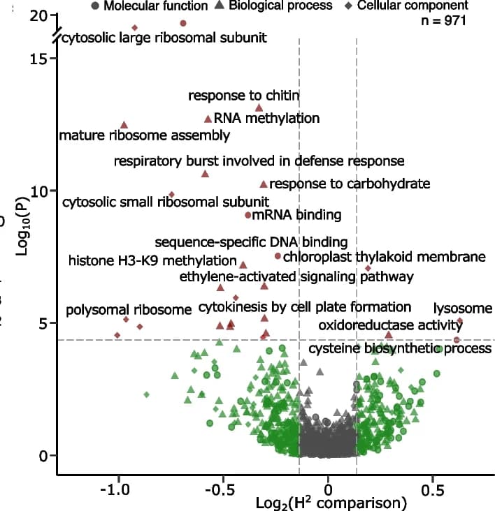 Open access visualization of Scatter Plot, Volcano Plot, Gene Ontology, Distributional Differences, Kolmogorov-Smirnov Test