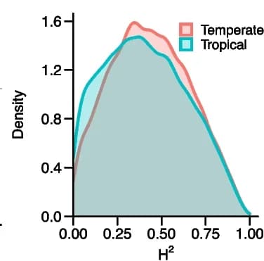 Open access visualization of Density Plot, Gene Expression, Broad Sense Heritability, Tropical Maize Lines, Temperate Maize Lines