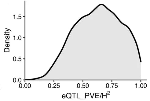 Open access visualization of Density Plot, Expression heritability, eQTLs