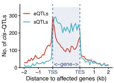 Open access visualization of Line Plot, Density Plot, cis-eQTLs, cis-sQTLs, Transcription start site