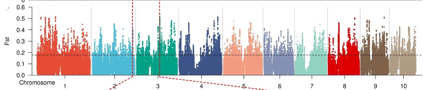Open access visualization of Manhattan Plot, Scatter Plot, Fixation Index, Fst, Genome-wide Scan