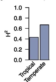 Open access visualization of Bar Plot, pfd2, Expression Heritability, Temperate Maize, Tropical Maize