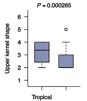 Open access visualization of Box Plot, Kernel Shape, Temperate Maize, Tropical Maize