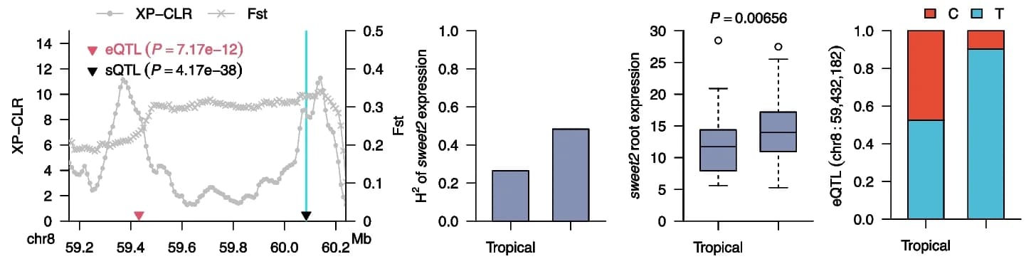 Open access visualization of Line Plot, Bar Plot, Box Plot, Stacked Bar Plot, Selective Sweep
