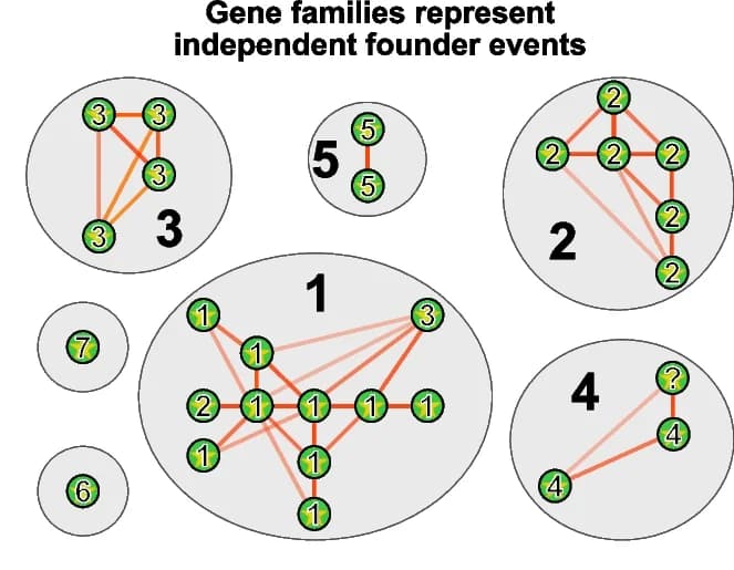 Open access visualization of Network, Pathway, Gene Age Inferences, Homology, Founder Event