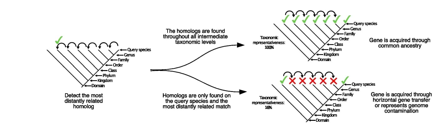 Open access visualization of Workflow, Flowchart, Taxonomic Representativeness, Homolog, Proteome