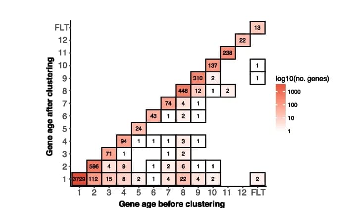 Open access visualization of Heatmap, Clustering, Gene Founder Events, Paralogs, Gene Age Assignment