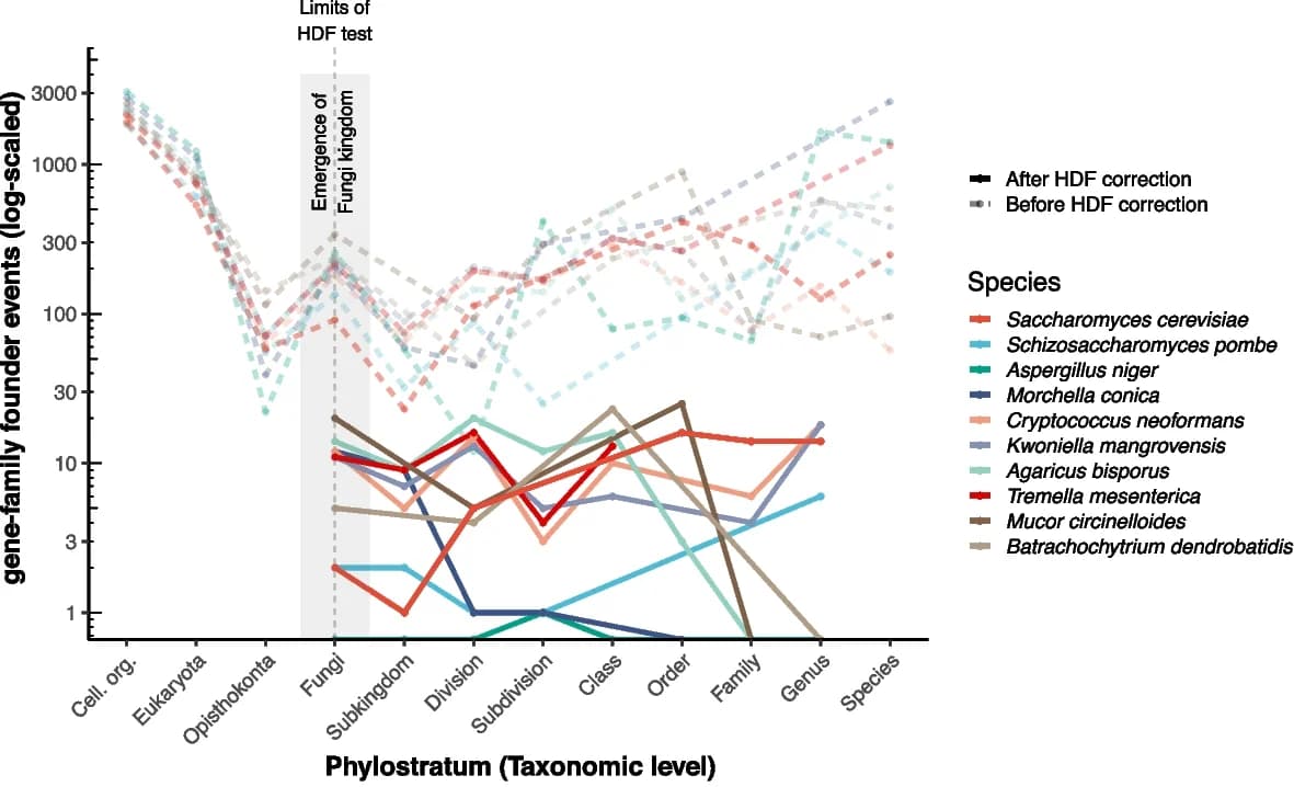 Open access visualization of Line Plot, Gene-family, Fungi, Taxonomic Level, HDF Test
