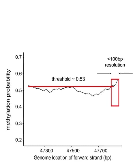 Open access visualization of Line Plot, BIND&MODIFY, Lambda DNA, 5mC Methylation, Antibody Binding