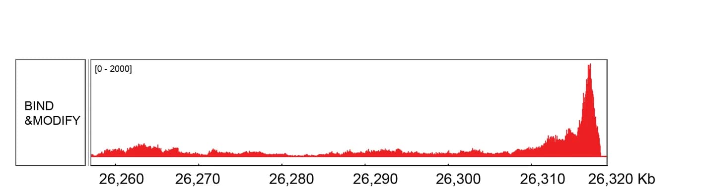 Open access visualization of Line Plot, H3K27me3, Pericentromeric Regions, Centromere