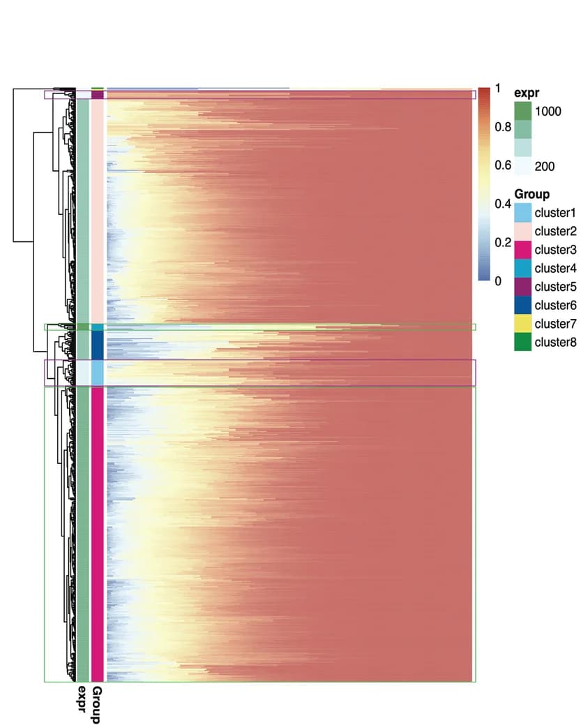 Open access visualization of Heatmap, Clustered, H3K27me3, Genetic Promoters, DNA Molecules