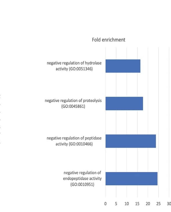 Open access visualization of Bar Plot, GO Enrichment Analysis, H3K27me3, Cluster 1