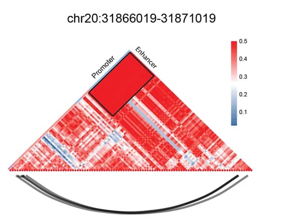 Open access visualization of Heatmap, Genomic Regions, Promoters, Enhancers, Correlation Index
