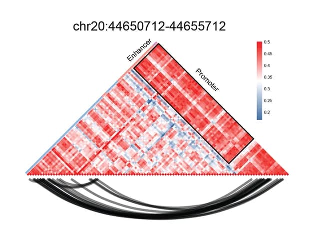 Open access visualization of Heatmap, Network, Genomic Regions, Promoters, Enhancers