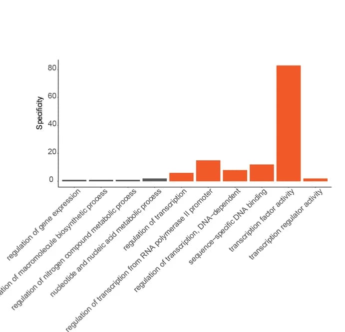 Open access visualization of Bar Plot, Binding Motif, Proximal Regions, Transcription Regulators, Transcription Activity
