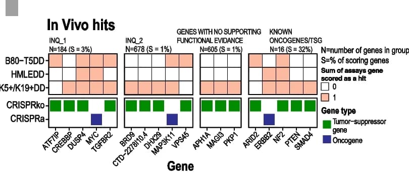 Open access visualization of Heatmap, In Vivo Screens, Hits