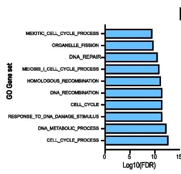 Open access visualization of Bar Plot, GSEA, Pathway Enrichment Analysis