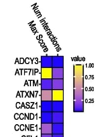 Open access visualization of Heatmap, HiChIP, Chromatin Interactions, Breast Cancer Risk Loci, Genes