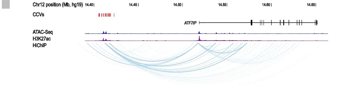 Open access visualization of Line Plot, Sankey, Chromatin Interactions, CCVs, ATF7IP
