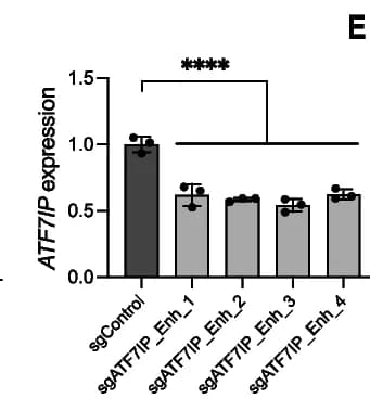 Open access visualization of Bar Plot, Error Bars, ATF7IP Expression, K5+/K19- cells, CRISPRi sgRNAs