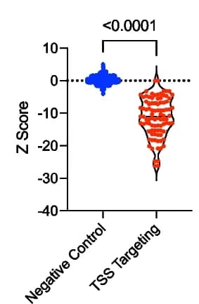 Open access visualization of Violin Plot, Z-Scores, CRISPRqtl, sgRNAs, TSSs