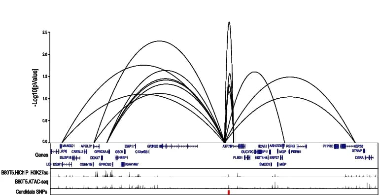 Open access visualization of Line Plot, Bar Plot, Histogram, CRISPRqtl Results, Chromosome 12