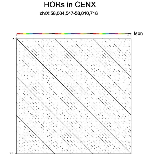 Open access visualization of Scatter Plot, HORs, CENX