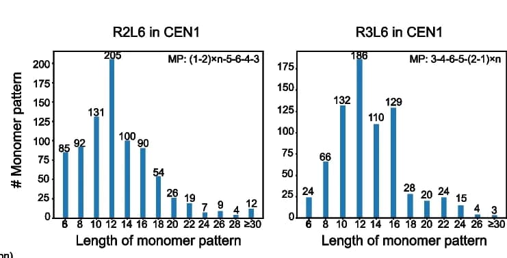 Open access visualization of Bar Plot, Monomer Patterns, CEN1