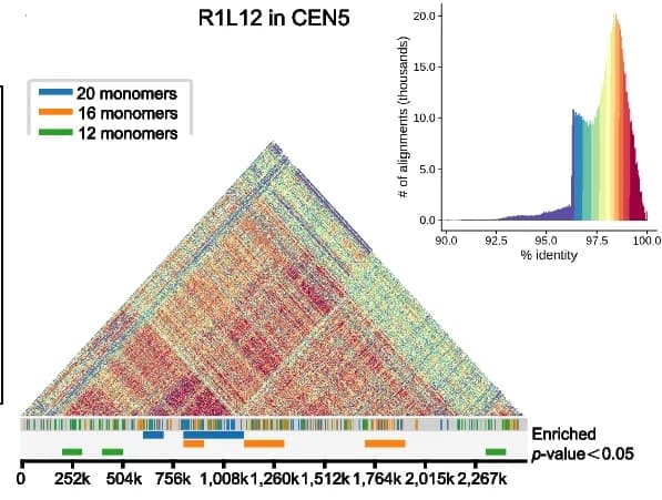 Open access visualization of Heatmap, Histogram, Structure, Annotation, CEN5