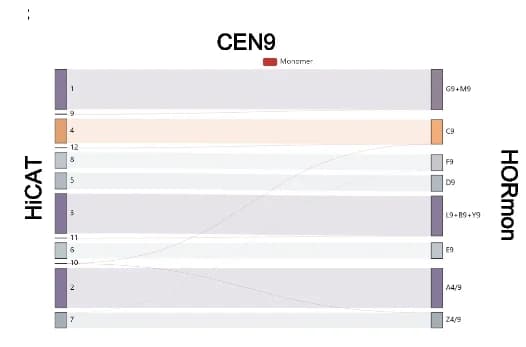 Open access visualization of Sankey, Monomer Sankey plot, CEN9, Monomers