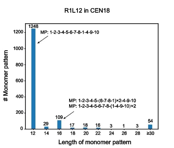 Open access visualization of Bar Plot, Monomer patterns, CEN18, HORs, Monomer pattern