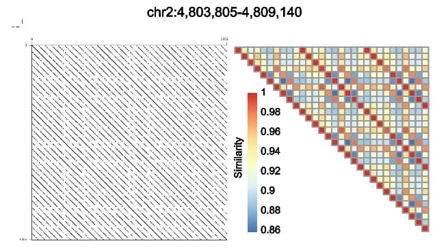Open access visualization of Heatmap, Dot Plot, Similarity Heatmap, R18L8