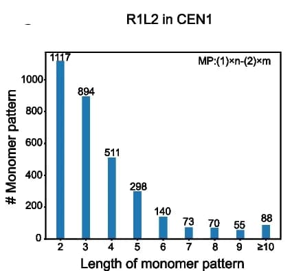 Open access visualization of Bar Plot, Monomer Patterns, CEN1, R1L2