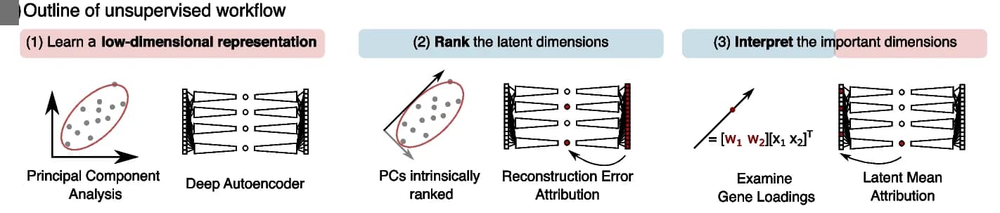 Open access visualization of Workflow, Flowchart, Scatter Plot, Gene Expression Data, Unsupervised Analysis