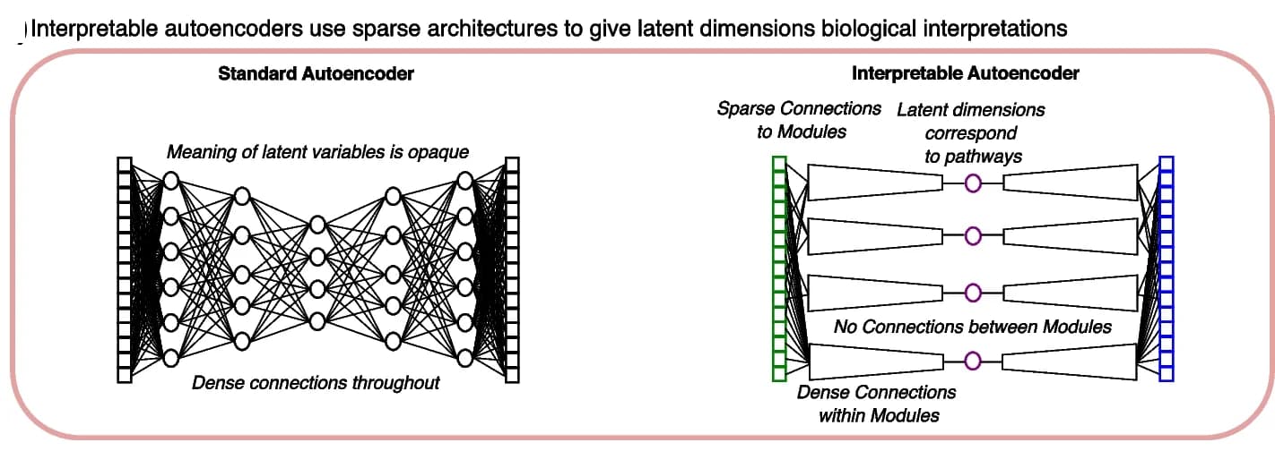 Open access visualization of Network, Pathway, Autoencoders, Latent Variables, Input Genes
