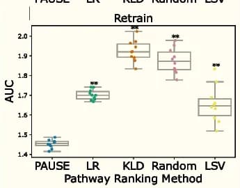 Open access visualization of Box Plot, Raincloud Plot, AUC, Impute benchmark, Retrain benchmark