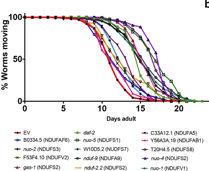 Open access visualization of Line Plot, Survival Curve, Paralysis, RNAi, Orthologs