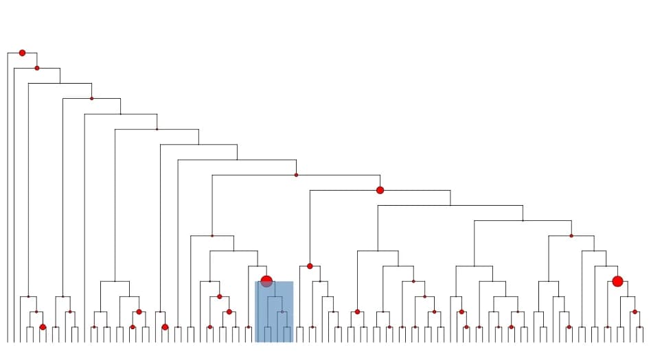 Open access visualization of Network, Phylogenetic Tree, Microbiome, Mediation Analysis, P-value