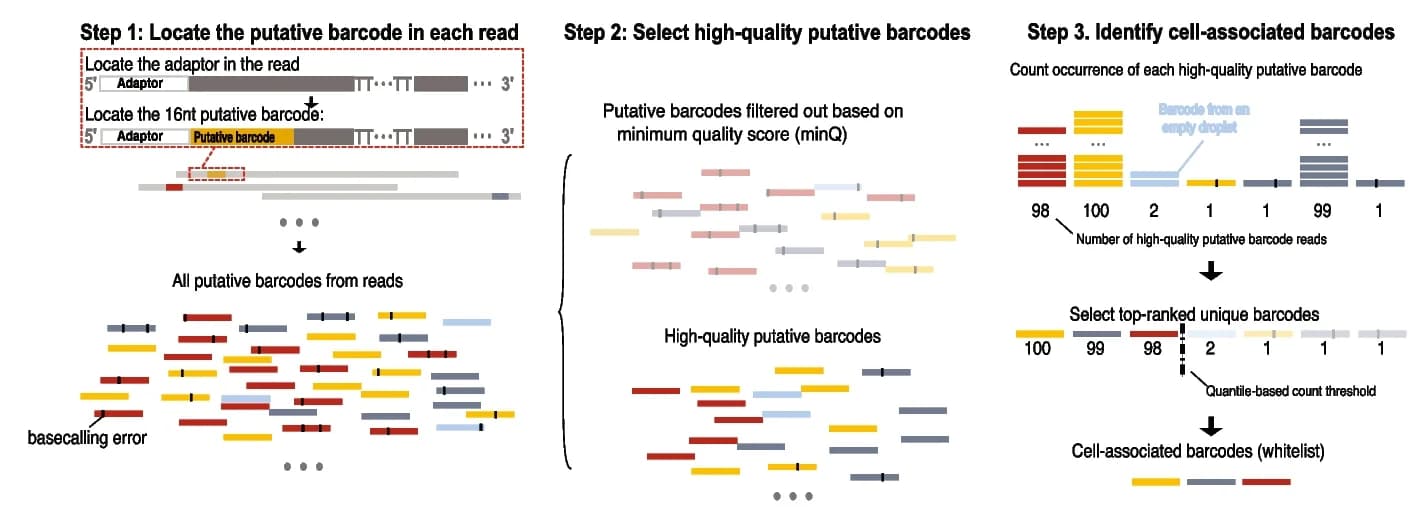 Open access visualization of Workflow, Illustration, BLAZE Workflow, Barcodes, Sequencing errors