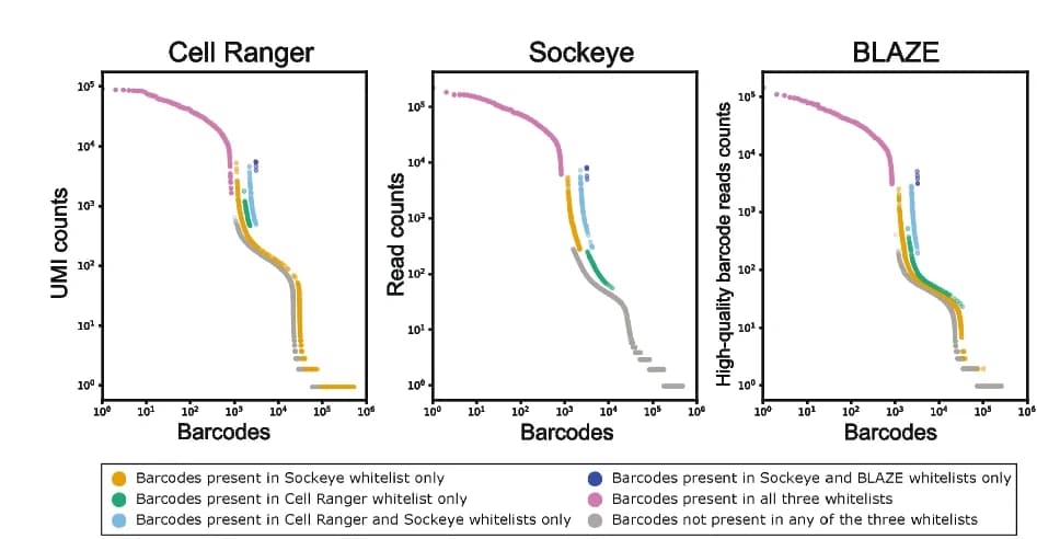 Open access visualization of Scatter Plot, Barcode rank plot, Barcodes, Cell Ranger, Sockeye