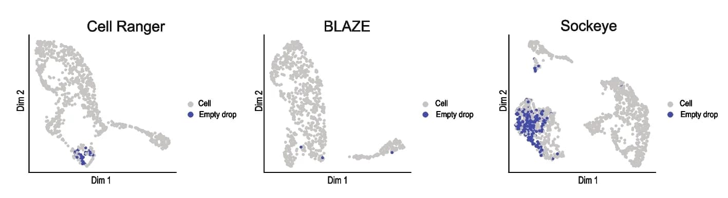 Open access visualization of Scatter Plot, UMAP, PCA, Empty droplets, Cells