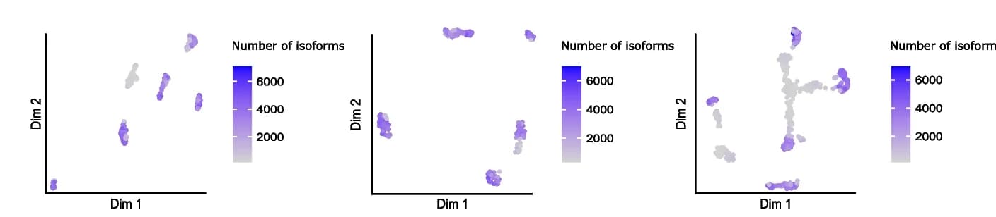 Open access visualization of Scatter Plot, UMAP, Isoform Expression, Isoform Detection
