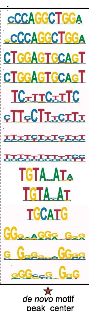 Open access visualization of Illustration, De novo motifs, Phylogibbs, RCRUNCH peak center