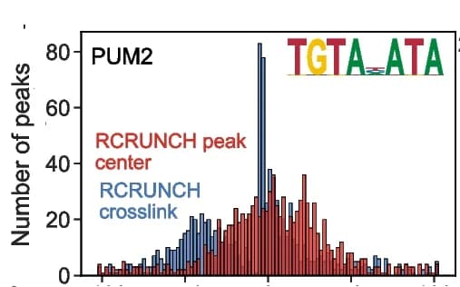 Open access visualization of Histogram, RBP, Motif, Read Coverage Peaks, RCRUNCH